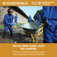 Our_Vision_SDG_obiettivi_di_sviluppo_sostenibile_17_recycle