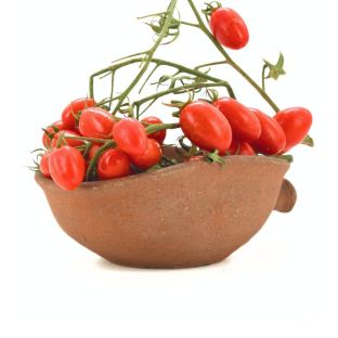 Pomodoro Bio Datterino Rosso