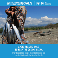 Our_Vision_SDG_obiettivi_di_sviluppo_sostenibile_6_no_plastic
