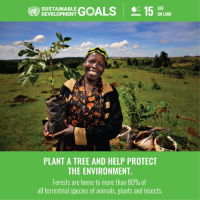 Our_Vision_SDG_obiettivi_di_sviluppo_sostenibile_9_tree_plant
